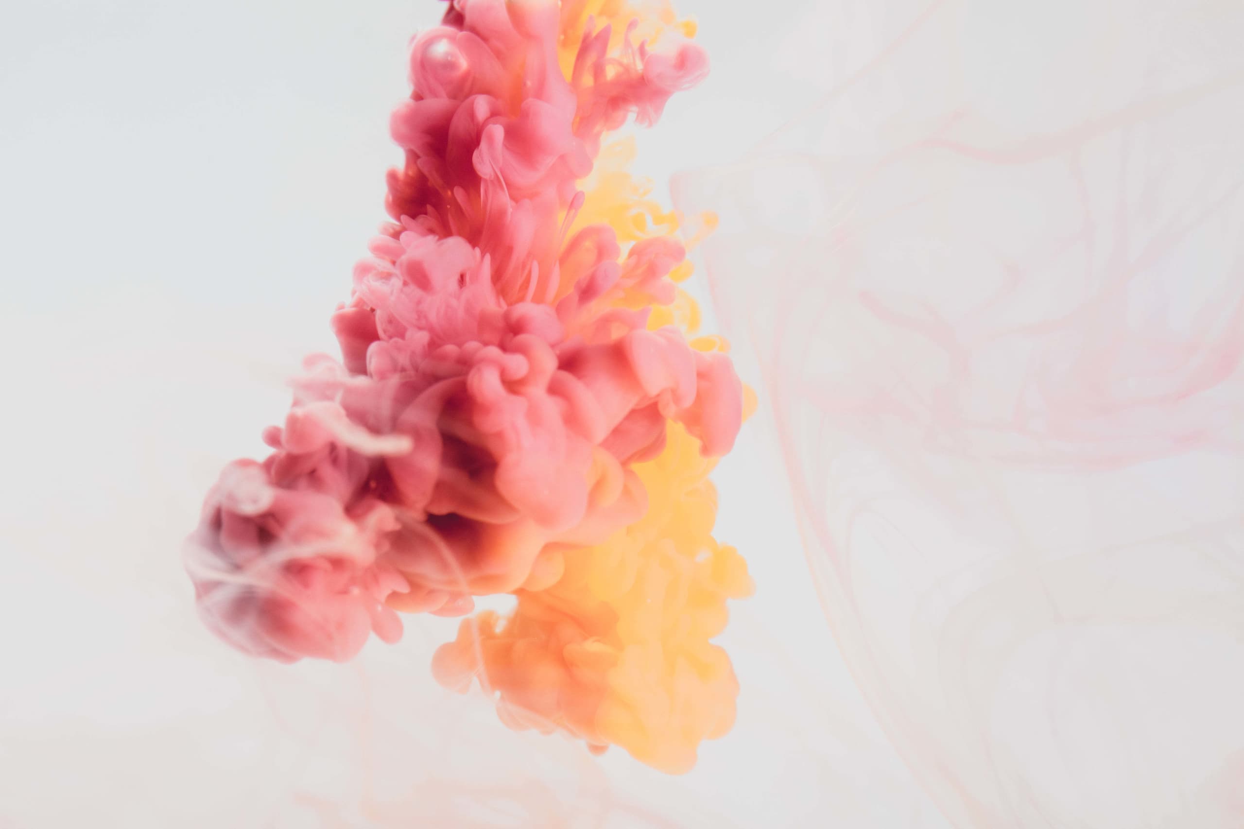 a-bubbling-cloud-of-rich-pink-and-yellow.jpg